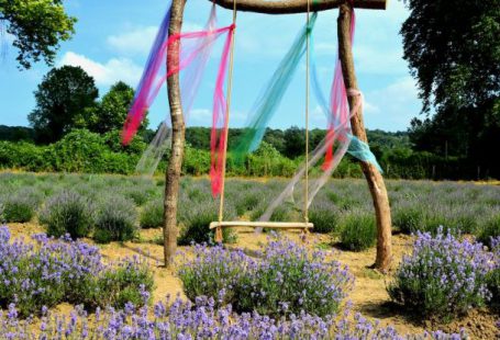 Summer Fabrics - Wooden Swing Decorated with Translucent Fabrics Standing amid Blooming Lavender