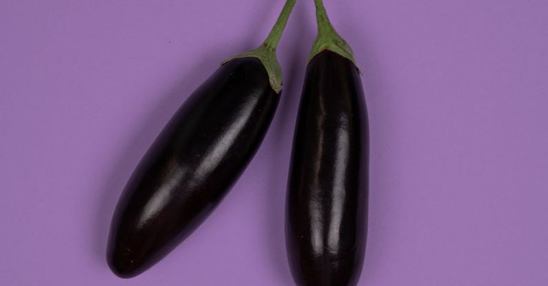 Food Pairing - Pair of ripe isolated unpeeled eggplants connected with each other against purple background