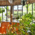 Green Home - Green Leaf Plans in Closeup Photography